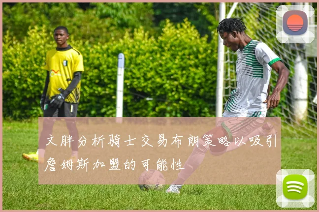 文胖分析骑士交易布朗策略以吸引詹姆斯加盟的可能性